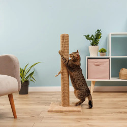 Когтеточка-колонна, бежевый