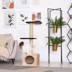 Когтеточка Фантазия